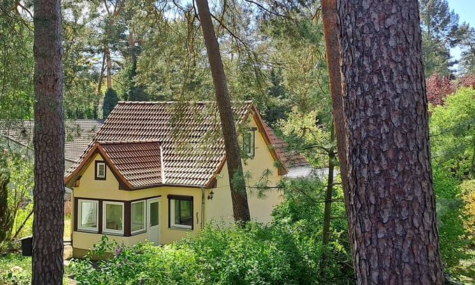 Oberhavel Cabaña | Ferienhaus Waldmeister, Direkt am Wald und 400m zum See