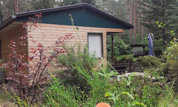 Busendorf Casa | Ferienhaus Waldoase für 2 - 3 Personen, Freistehend auf Eingezäuntem Grundstück