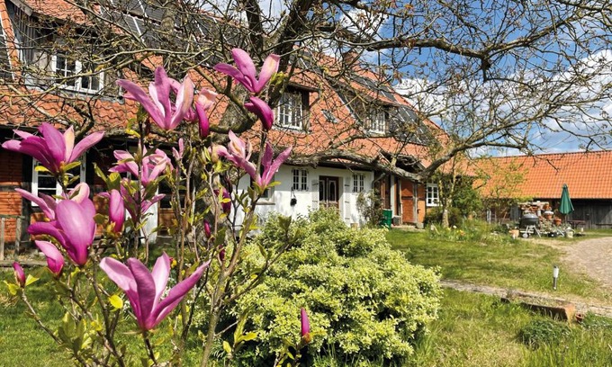 Wittendorp Apartamento | Ferienhof Rauchhaus