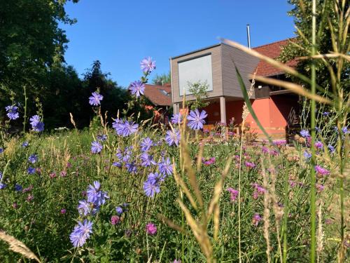 Straupitz Apartamento | Ferienloft Libela Straupitz im Spreewald
