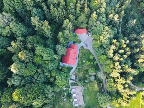 Klaffer am Hochficht Apartamento | Ferienwohnung Huskyhausen - Schlittenhunde Erlebnisse & Urlaub mitten in der Natur!