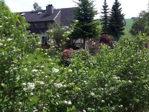 Oberwiesenthal Apartamento | Ferienwohnung Aronia Garten