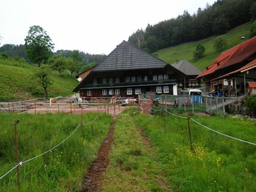Bollen Apartamento | Ferienwohnung am Belchen