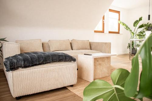 Oker Apartamento | Ferienwohnung am Bollrich