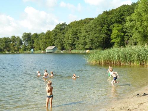 Dummer Apartamento | Ferienwohnung am Dümmer See