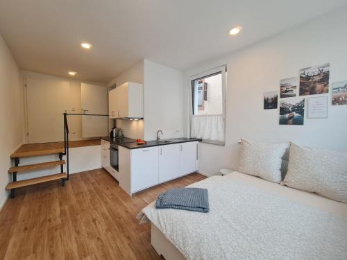 Waldkirch Apartamento | Ferienwohnung an der Allee