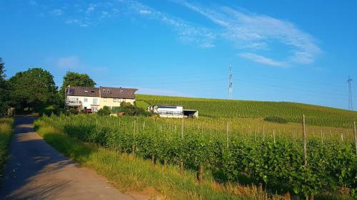 Riol Apartamento | Ferienwohnung "Auf Plandert"