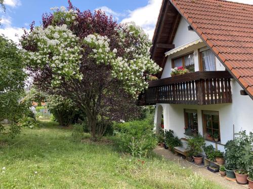 Loffingen Apartamento | Ferienwohnung Birkenberger