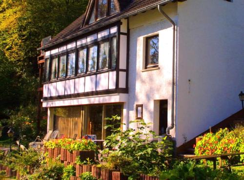 Waldbreitbach Apartamento | Ferienwohnung Chalet Wiedfluh In Waldbreitbach