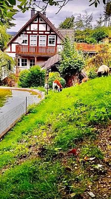 Bestwig Apartamento | Ferienwohnung Dörnberg erleben mit Tiere bei Winterberg