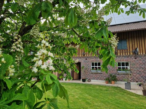 Herlazhofen Apartamento | Ferienwohnung Ewigkeit - 4-Sterne DTV klassifiziert