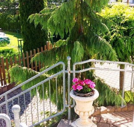 Traben-Trarbach Apartamento | Ferienwohnung Eigner