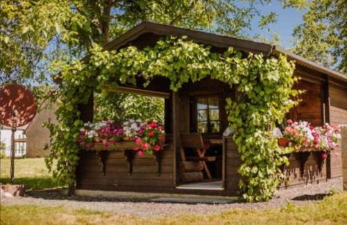 Eggolsheim Apartamento | Ferienwohnung Erlwein