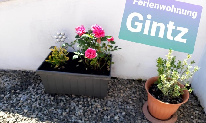 Blieskastel Apartamento | Ferienwohnung Haus Gintz