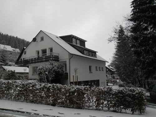 Silbach Apartamento | Ferienwohnung Haus Kloosterman