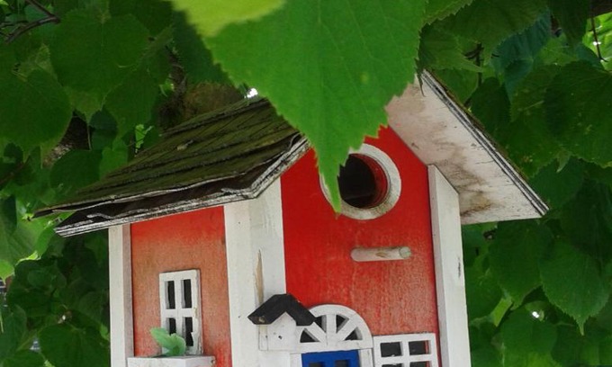 Worms Casa | Ferienwohnung Holl