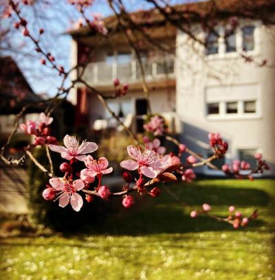 Uettingen Apartamento | Ferienwohnung im Aalbachtal - Uettingen bei Würzburg