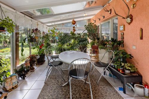 Zothen Apartamento | Ferienwohnung im Burgenland