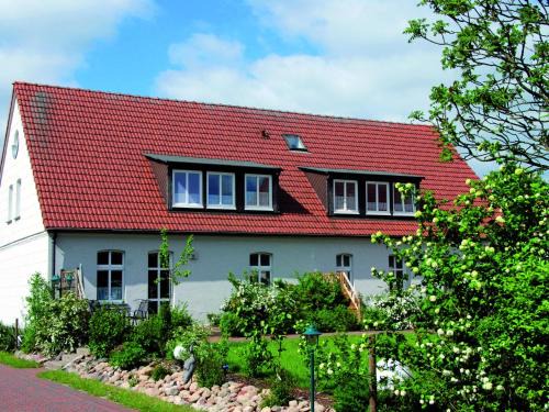 Muritz Apartamento | Ferienwohnung in der Mecklenburger Seenplatte