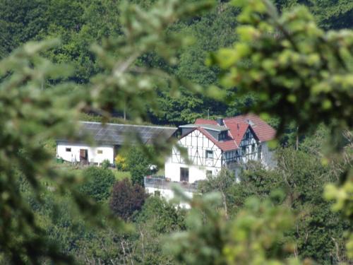 Waldbreitbach Apartamento | Ferienwohnung In Waldbreitbach Mit Whirlpool