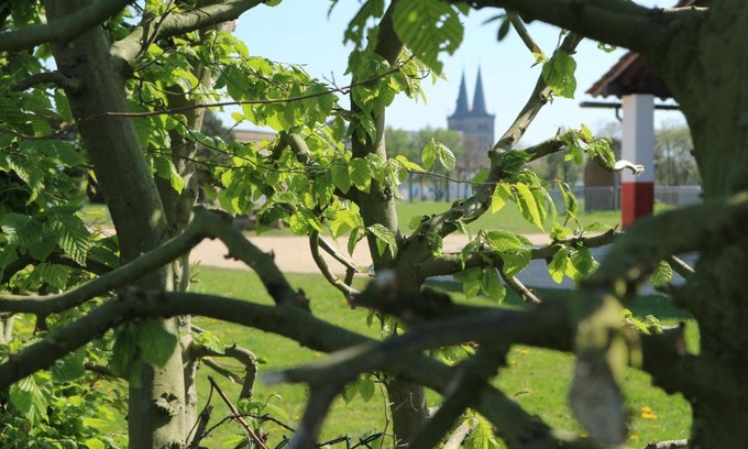 Xanten Apartamento | Ferienwohnung Kriemhild