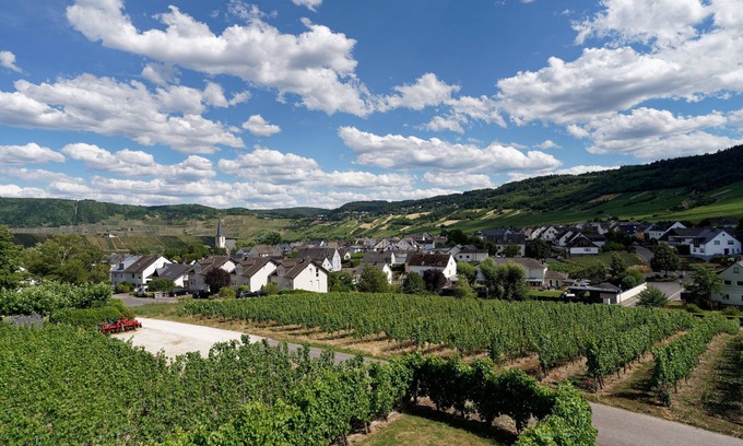 Leiwen Condominio | Ferienwohnung "laurentiusblick" mit Panoramablick in den Weinbergen von Leiwen