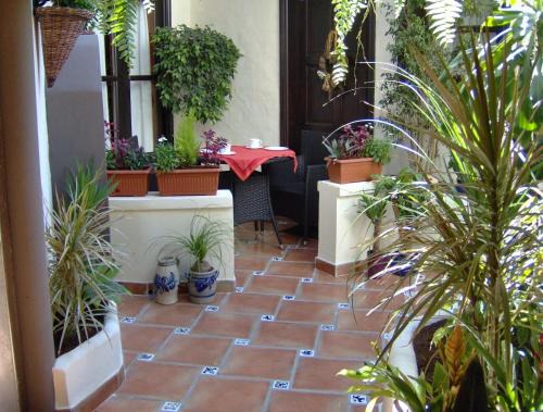 El Guincho Apartamento | Ferienwohnung mit kleiner Innenhof-Terrasse im mediterranen Stil