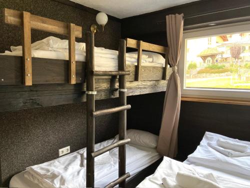 Todtnauberg Apartamento | Ferienwohnung Michel 02 im Haus Schwarzwaldmarille- Todtnauberg, Feldberg