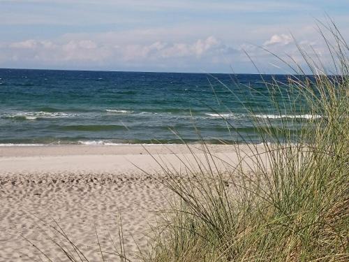 Ostseebad Dierhagen Apartamento | Ferienwohnung Mone
