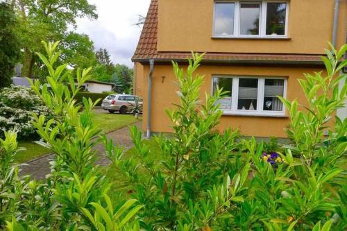 Franken Siedlung Apartamento | Ferienwohnung Muschelbank_ MV_Fewo