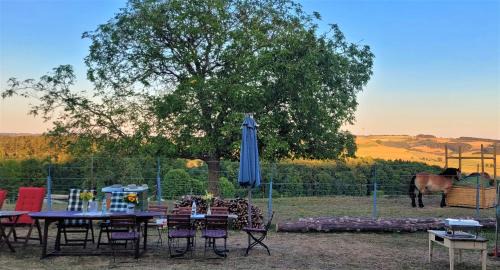 Niederlauch Apartamento | Ferienwohnung Pferdestärke-Eifel