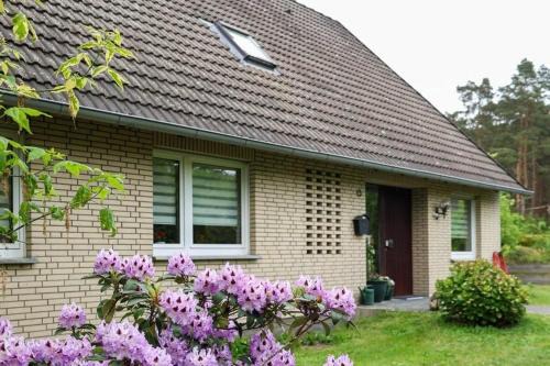 Hademstorf Apartamento | Ferienwohnung Roswitha