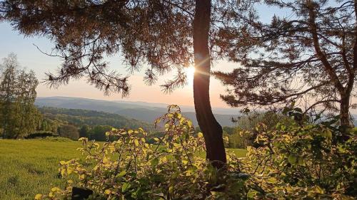 Saalfelder Hoehe Apartamento | Ferienwohnung Saalfeld - Sommerfrische Burkersdorf