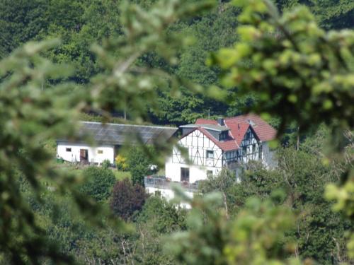 Waldbreitbach Apartamento | Ferienwohnung Schäfer