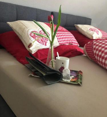 Ipsheim Apartamento | Ferienwohnung Silvaner in fränkischer Weinregion