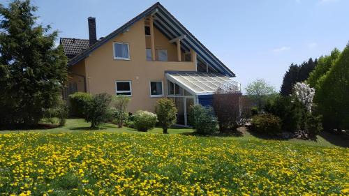 Eisenbach Apartamento | Ferienwohnung Sonnenblick