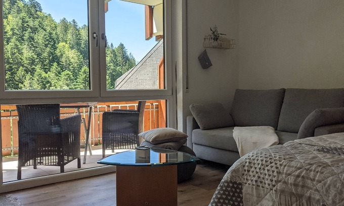 Todtmoos Apartamento | Ferienwohnung Sonnenstrahl, 40qm, Balkon, 1 Wohn-/schlafzimmer, Max. 4 Personen
