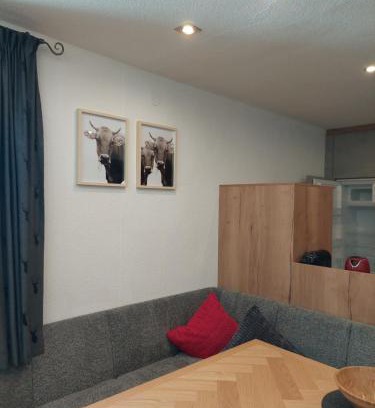 Galtur Apartamento | Ferienwohnung Tramunt im Hotel Casada