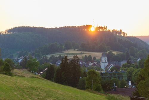 Lenzkirch Apartamento | Ferienwohnung Wälderliebe