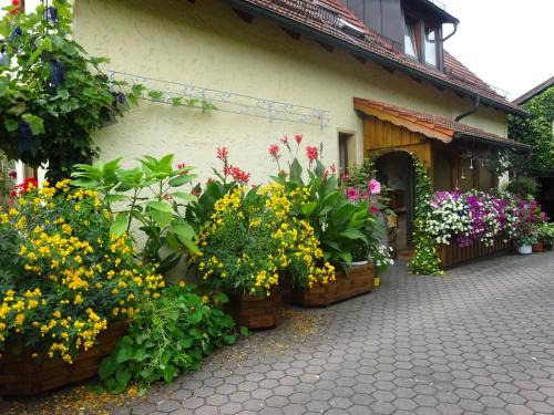 Harsdorf Apartamento | Ferienwohnung Wassergartenparadies