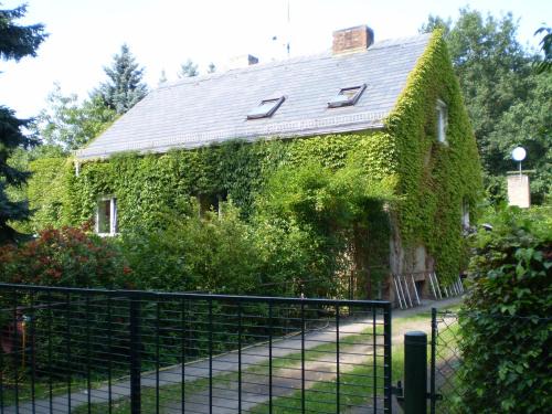 Neuruppin Apartamento | Ferienwohnung Wolf