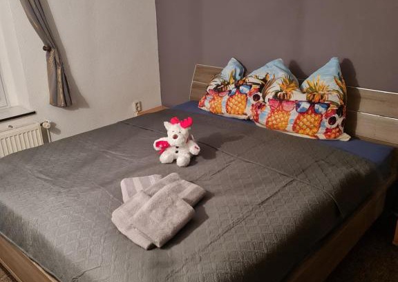 Bad Suderode Apartamento | Ferienwohnungen Fam. Bartl