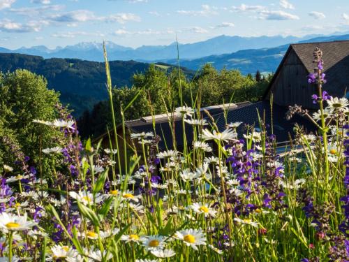 Kamp Apartamento | Ferienwohnungen Lichtenegger
