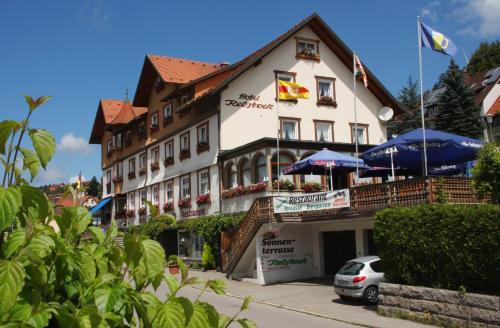 Schonach im Schwarzwald Hotel | Ferienwohnungen Rebstock