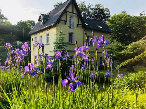 Siebenlehn Apartamento | Ferienwohnungen Siebenlehn am Romanus Freibad