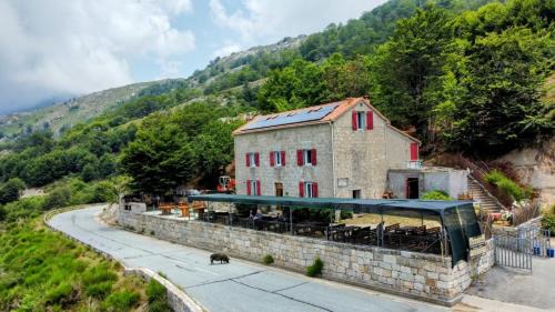 Olivese Casa | Ferme auberge du col de la vaccia