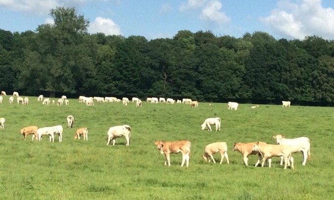 Walincourt-Selvigny Otro | Ferme de Sorval – Your Private French Getaway with Nature & Luxury