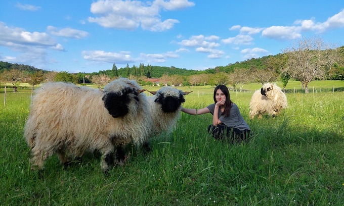 Montignac Casa | Ferme des Petites Oreilles: 4* gîte, animals and nature. Ideal for families
