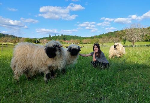 Montignac Cama Y Desayuno | Ferme des Petites Oreilles 4 étoiles