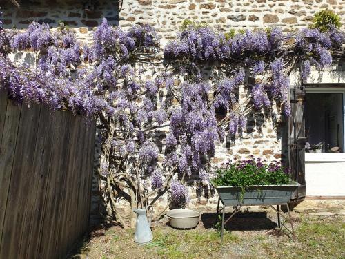 Ize Casa | Fermette dans les pays de la Loire
